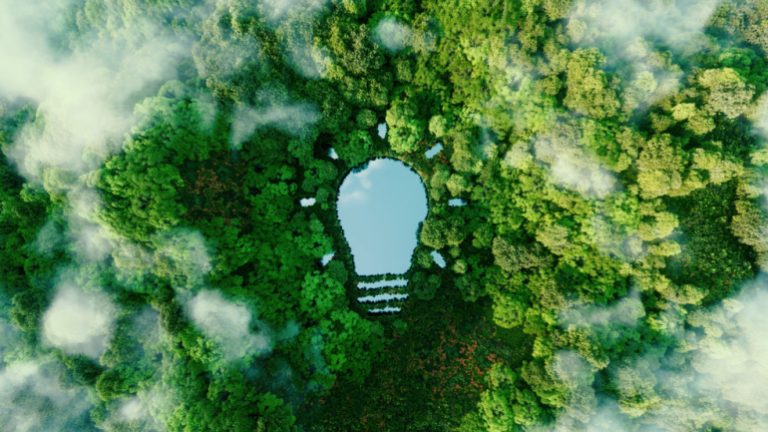 Read more about the article TIM and ERG Partnership: Balancing Green Energy and Telecommunication Growth