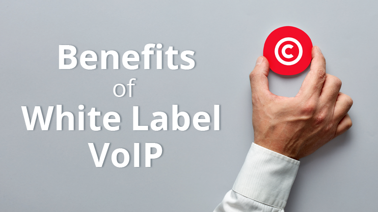 Read more about the article How White Label VoIP Can Help Resellers Build Their Brand